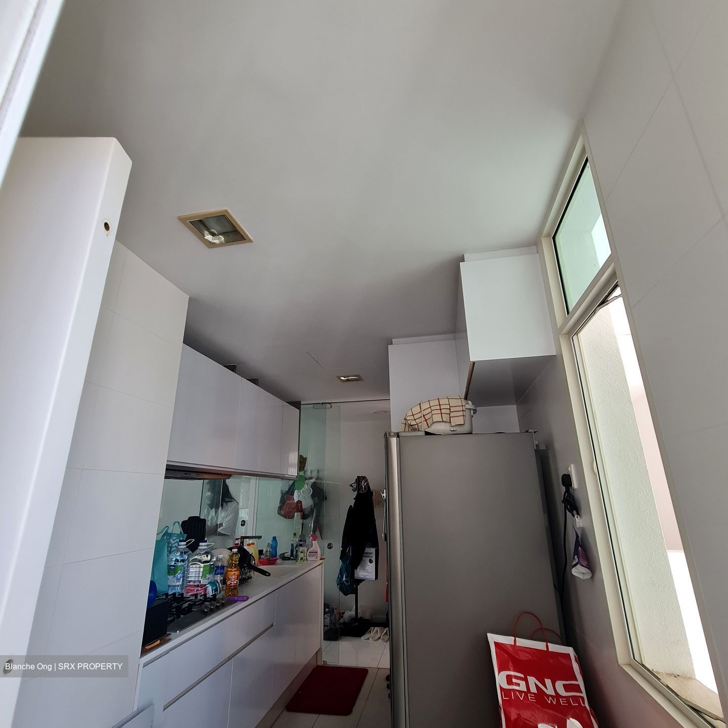 The Cascadia (D21), Condominium #561770341